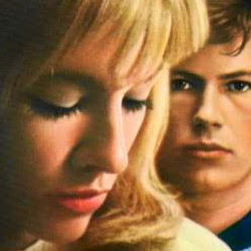 8823 macaronのサムネイル