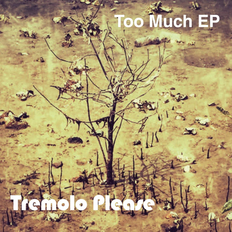 Tremolo Please
