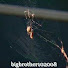 YAxSGfNLlIc-channel-avatar-bigbrother102008