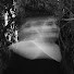 9A1Zs_FkCrA-channel-avatar-Cathryn Jupp