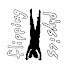 Flipping Physics