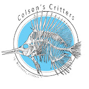 Colson’s Critters