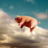 wBFfd4EbcMc-channel-avatar-Flyin Pig Music