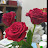 @Flora-tl1ds