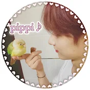 pippi Channel