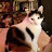 @stevenspencer5367's avatar