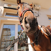 Agenzia Immobiliare House & Domos