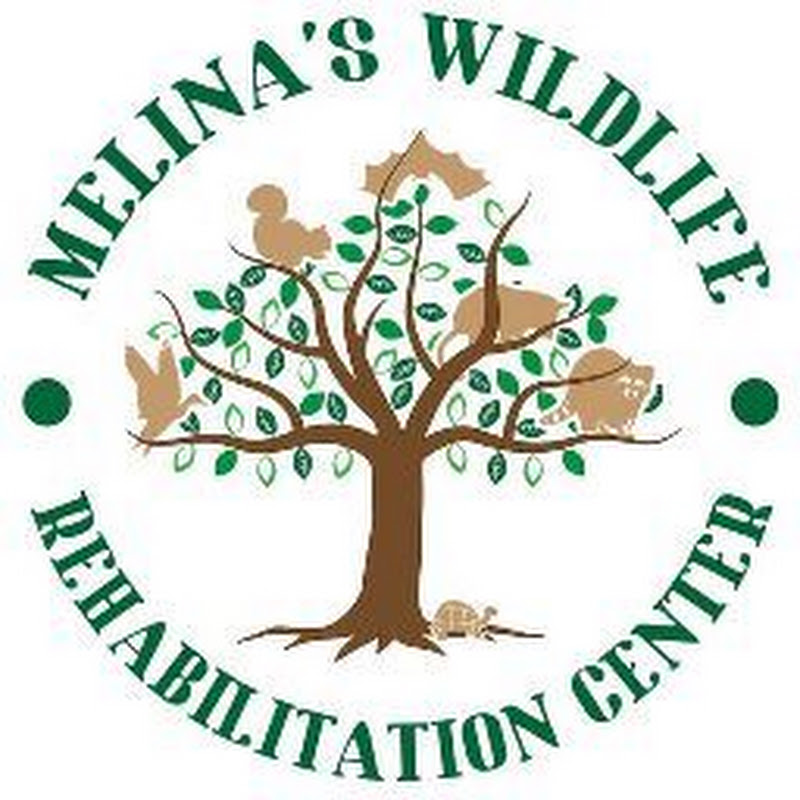 Melina's Wildlife Rehabilitation Center avatar