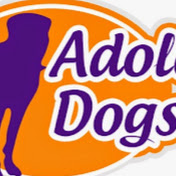 Adolescent Dogs Ltd