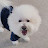 @younghoonmoon5516