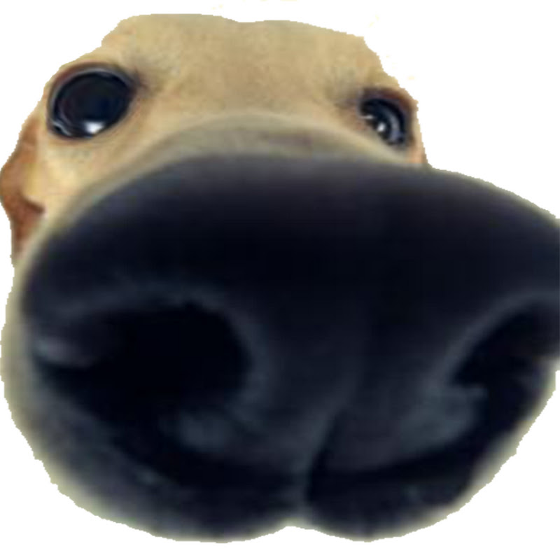 noodlehome icon