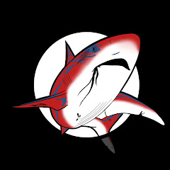 Shark Palace