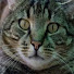 Aqp02-OnB5s-channel-avatar-J4CKM4N2266