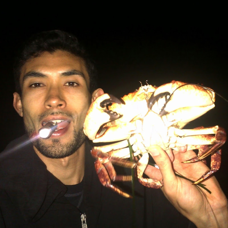 Fisherman's Life Logo