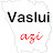 Vaslui Azi