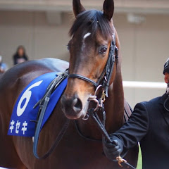 競馬全レース予想TV・厳選平場予想アイコン画像