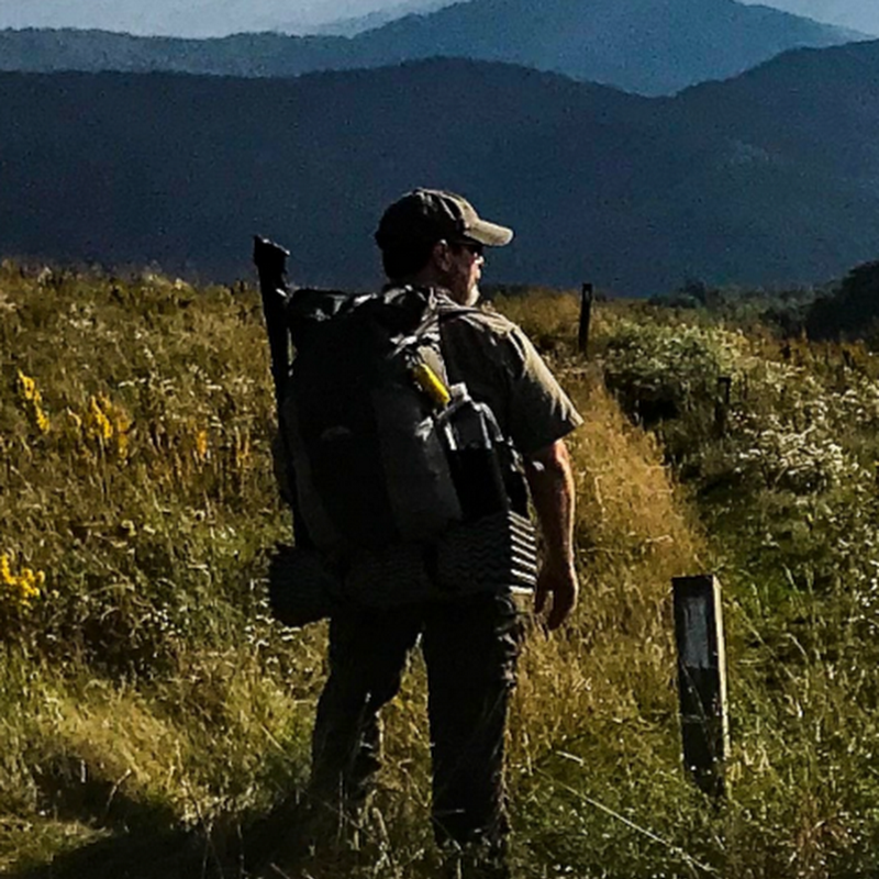 Supertramp Goes Wild