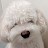 @잡취