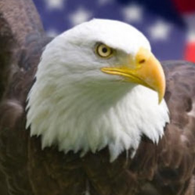 eagle man logo