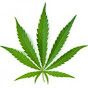 Vinculos Cannabicos logo