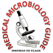 Medical Microbiology Guide