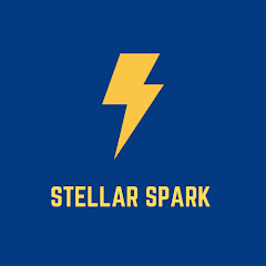 Stellar Spark Studios net worth