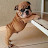 @일베박멸-s5o