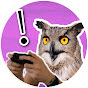 Spielverstand Avatar