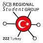 RSG-Türkiye logo