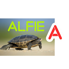 ALFIE A
