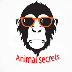 Animal Secrets Image Thumbnail