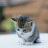 @user-gr4pl6zl5f