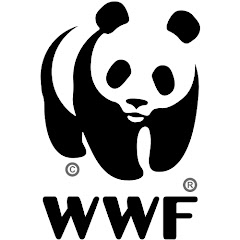 WWF En Español
