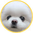 S8baeh8OyR0-channel-avatar-아롱이네 ArongHouse