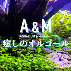 【A&M】癒しのオルゴール-Musicbox-アイコン画像