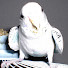QxRwNvwFP9I-channel-avatar-unidon555