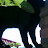 @imreszabo9438's avatar