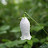 @user-rs3sx1bf7x