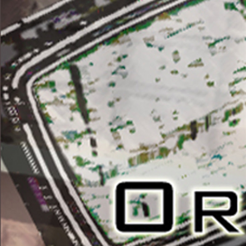 OrganizedRemains