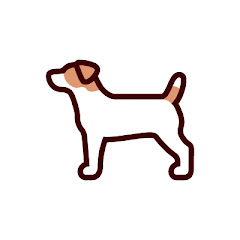 Jack Russell Terrier Dog