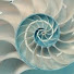 5sb3SLwwUSw-channel-avatar-Pharmapedia