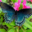 Avatar photo