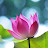 @IamBlueDragon_ Avatar