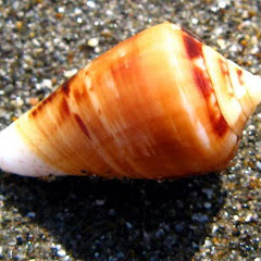 ドビュッシー20190409