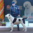 Of7RS9cBB7Y-channel-avatar-Алексей Клевакин BUGAY ALABAI