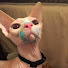 VleQO-EgHM0-channel-avatar-Ry Bread