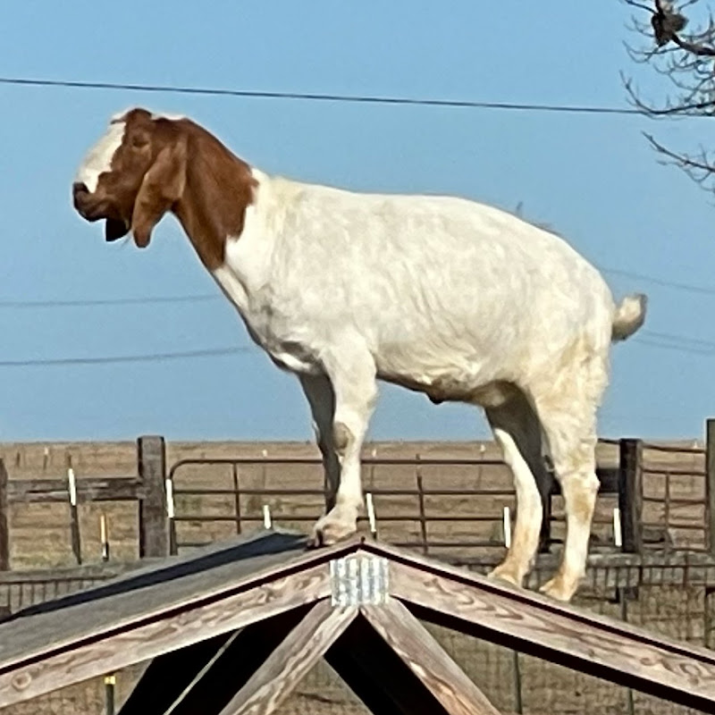MukulB