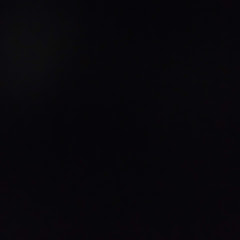 かまぼこさん