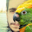 @abdallhafifi5406