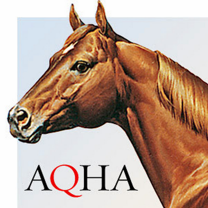 AQHA Video icon